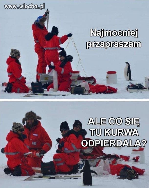 Co się tu się...