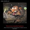Wszystkim tu dodającym bzdurki