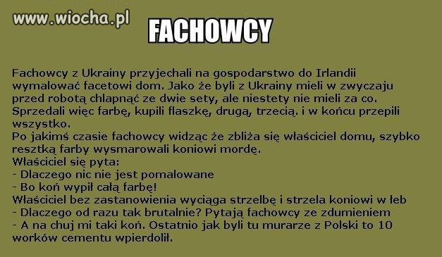 Fachowcy z Ukrainy