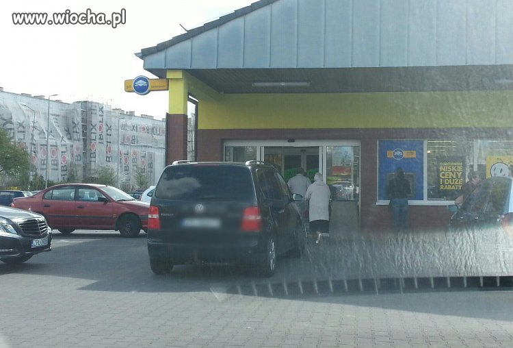 Szczeciński cebulak