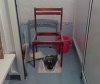 Prawie biedermeier
