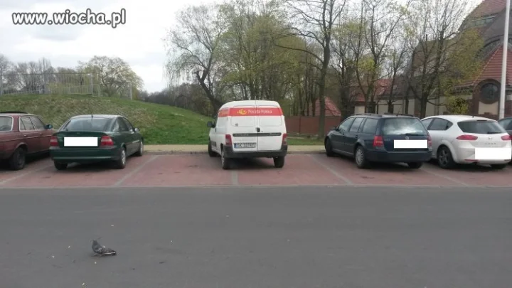 Buraków nie brakuje