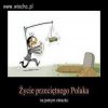 Pęd za złotówką