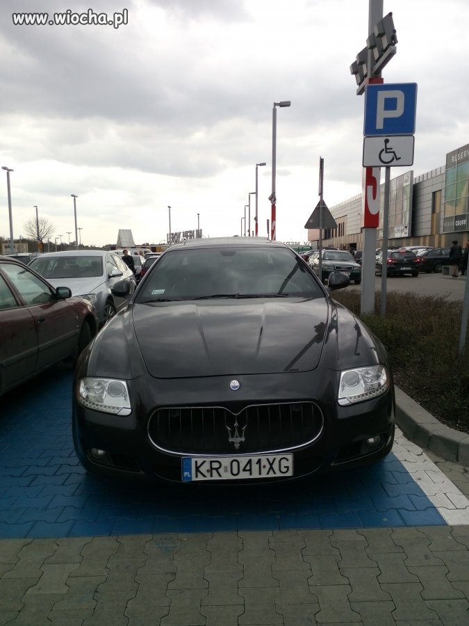 święta krowa. Wstyd i Wiocha.