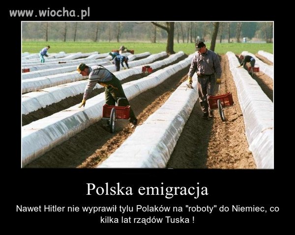 I nie to, że Hitler był jakiś cacy