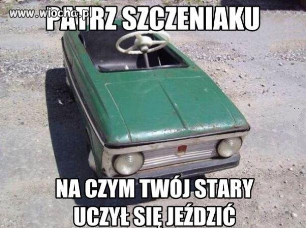 Patrz szczeniaku