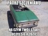 Patrz szczeniaku