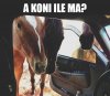 A ile koni ma?