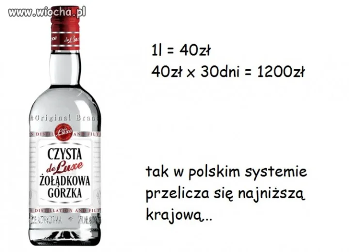 Polski system 