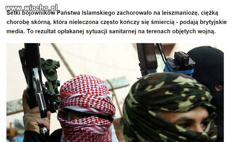 Pozytywne wiadomości z IS.