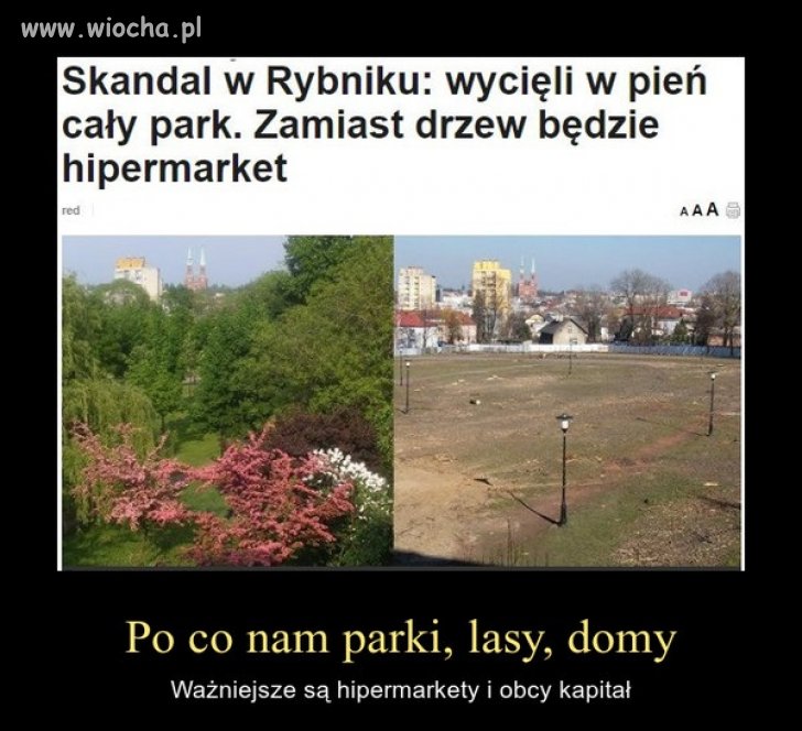 Co tam jakiś park
