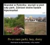 Co tam jakiś park