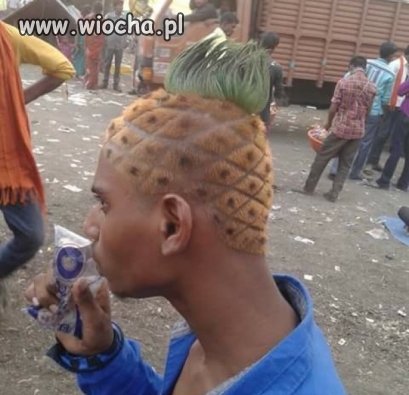 Ananas 