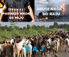 Obiecali mu 72 dziewice w raju...