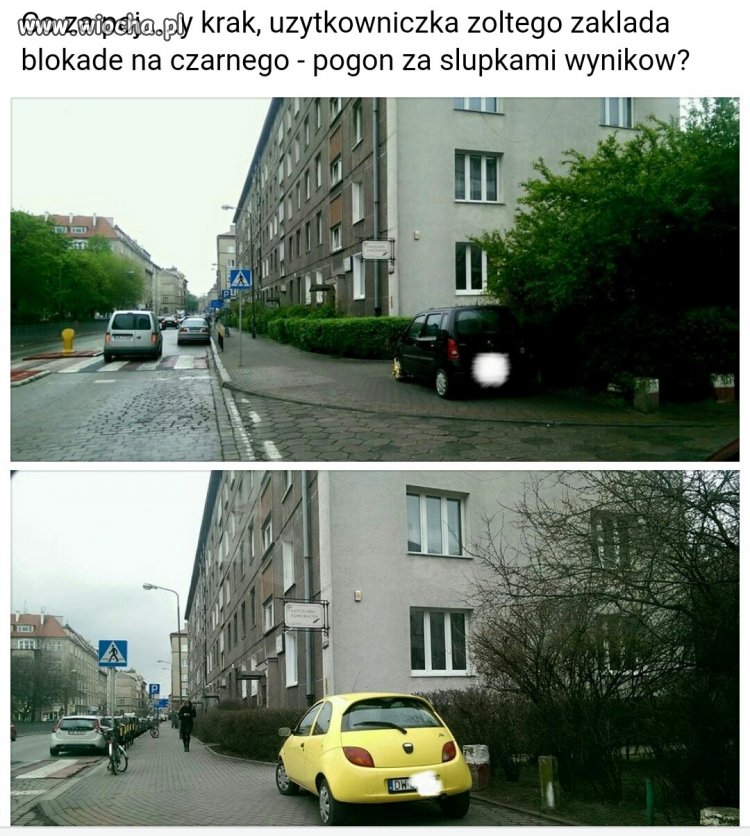 Użytkowniczka żółtego - Strażniczka Miejska Wrocław
