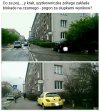 Użytkowniczka żółtego - Strażniczka Miejska Wrocław