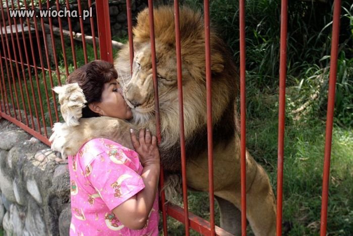 W zoo.