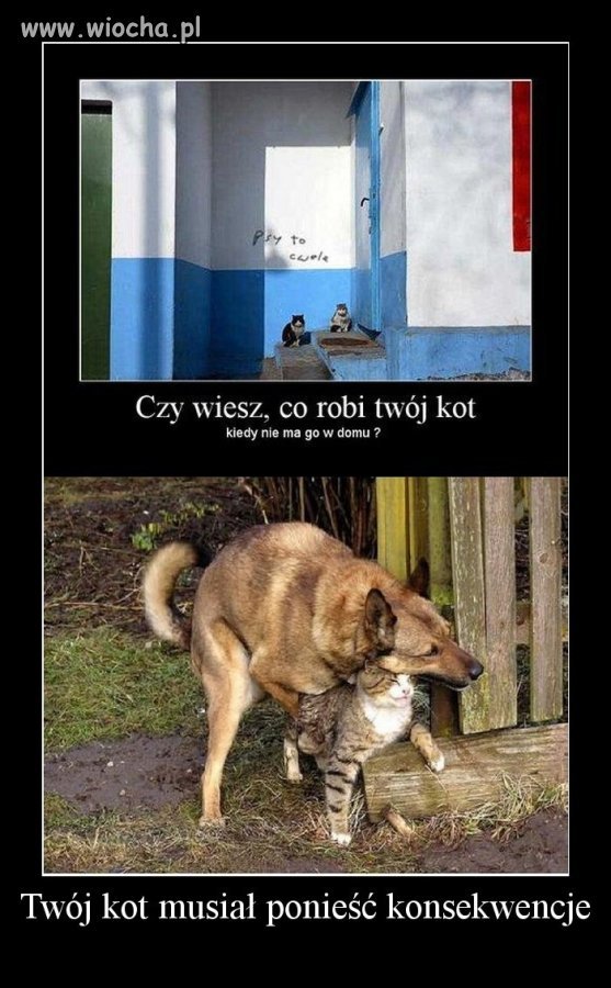 Ktoś musi ponieść konsekwencje
