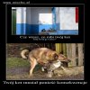 Ktoś musi ponieść konsekwencje