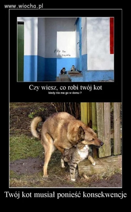 Ktoś musi ponieść konsekwencje