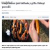I wszyscy skandują"DZIĘKUJEMY" 
