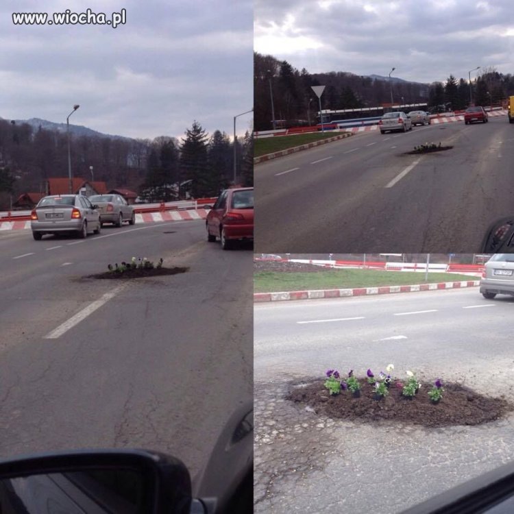 Za mało zieleni w miastach