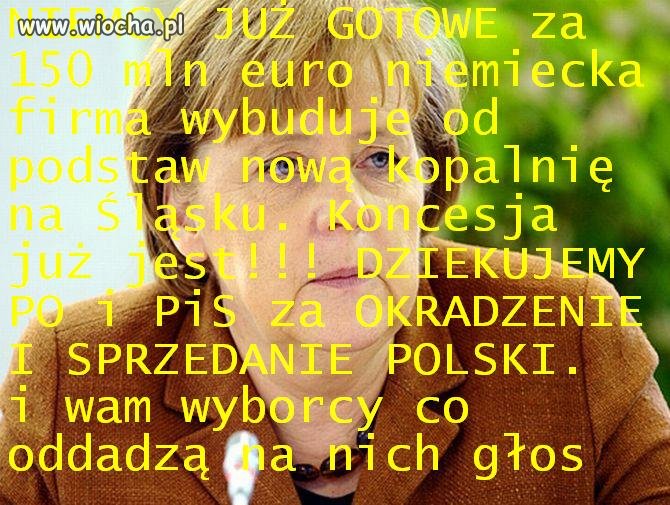 Niemcom się opłaca