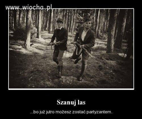 No jak nam opierd.lą lasy