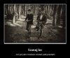 No jak nam opierd.lą lasy