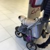 Od kiedy to psy wozi się w wózkach dla dzieci?
