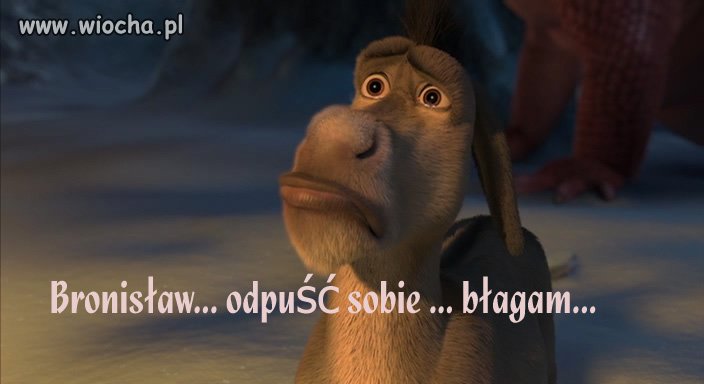 Taka sógestia...
