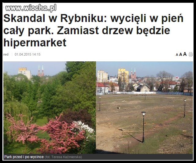 Po co nam parki, lasy, domy