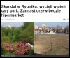 Po co nam parki, lasy, domy