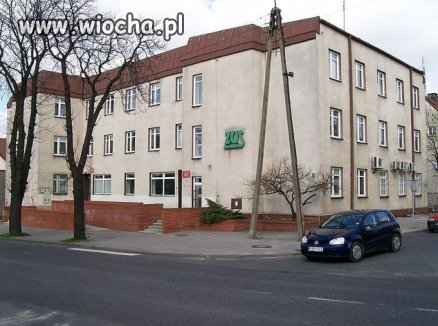31-latka jednak nie będzie prezesem ZUS. 