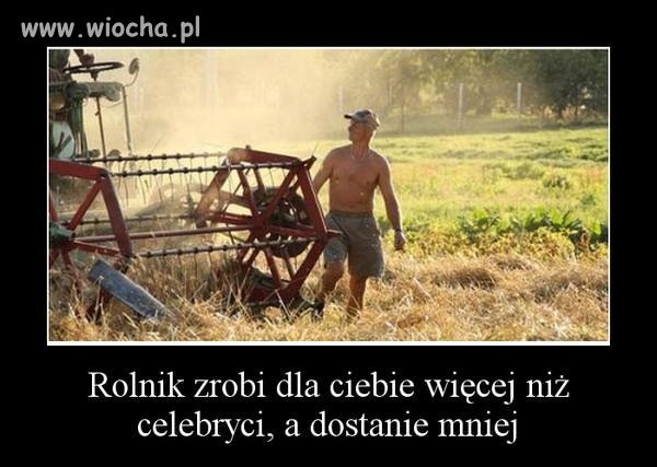 Niestety