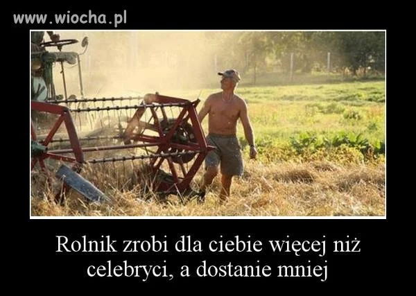 Niestety
