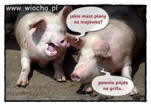 Plany na nadchodzący 