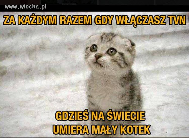 A do tego jeszcze się ogłupiasz 