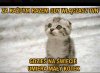 A do tego jeszcze się ogłupiasz 