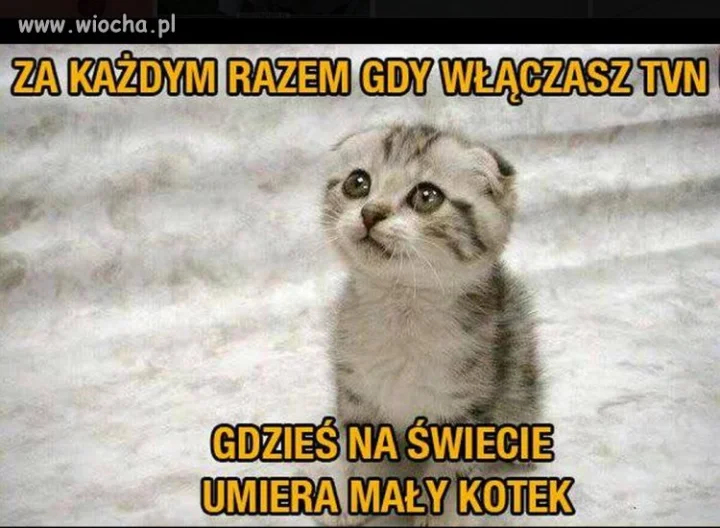 A do tego jeszcze się ogłupiasz 