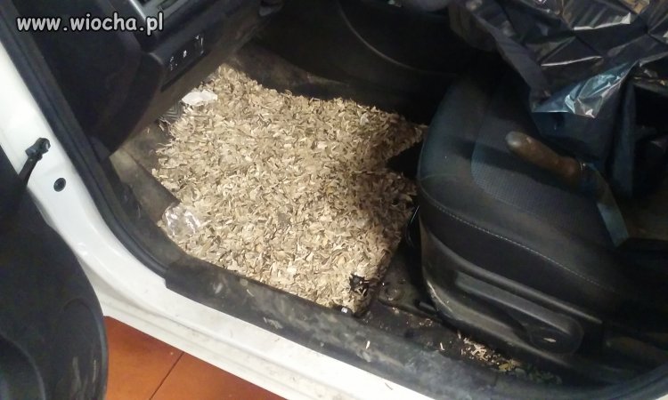 Auto służbowe..