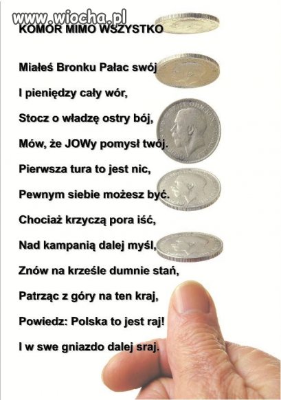 Komor mimo wszystko !