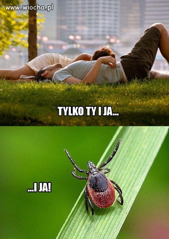 Tylko ty i ja