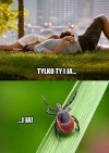 Tylko ty i ja
