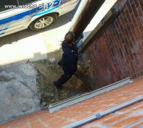 Policja wszędzie taka sama.