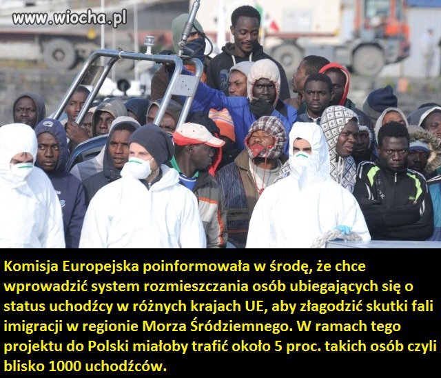 Kolejny *genialny* pomysł