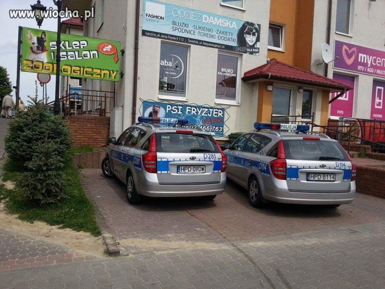 Akcja: Fryzjer