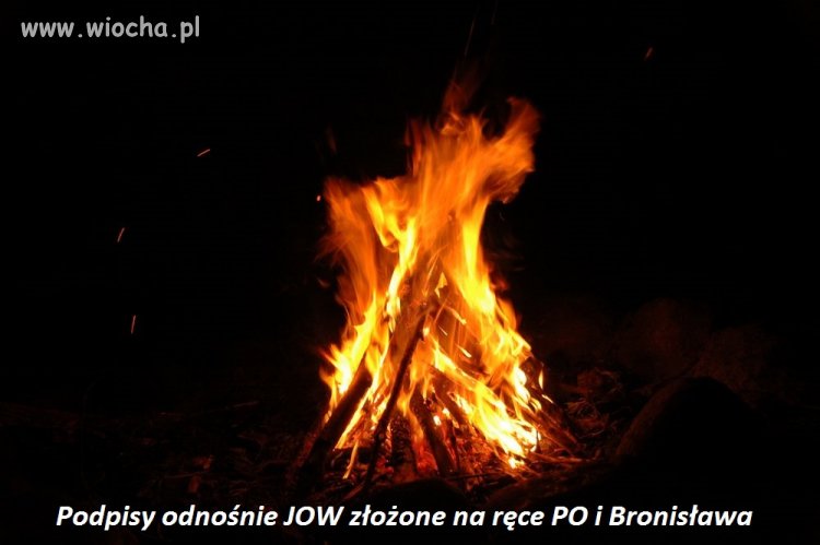 Mamy dowody na powiązania PO z JOW