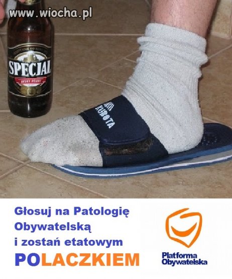 Cała prawda o fanatykach PO
