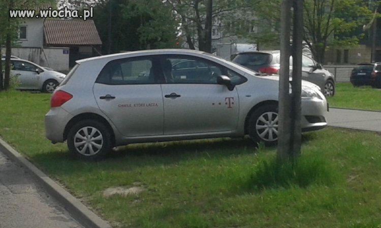Takie tam parkowanie na trawniku